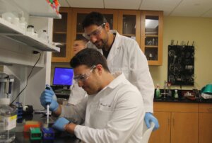 Post Baccalaureate Sciance Image Banner