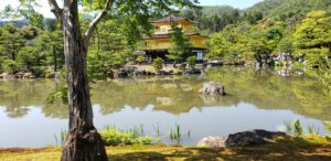 Photo of a Japanese shrine taken on a study abroad trip for Asian Studies Minor