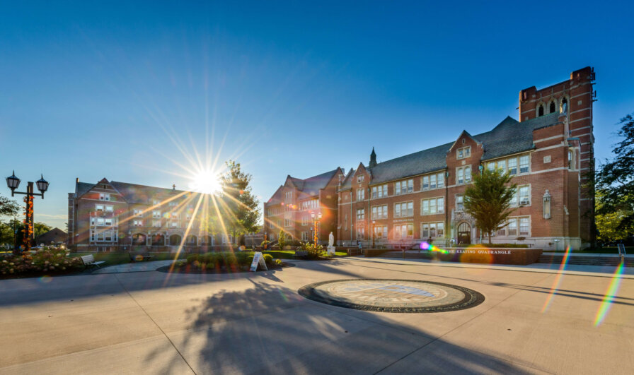 Application To Elms College Elms College