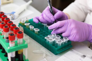 Photo of lab research