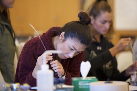 Admissions Elms College