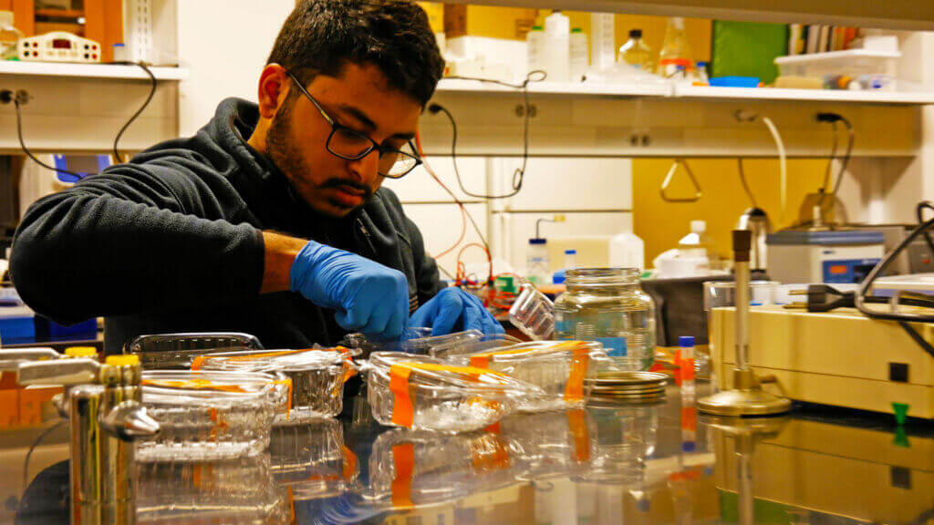 Photo of student doing research in biotechnology lab