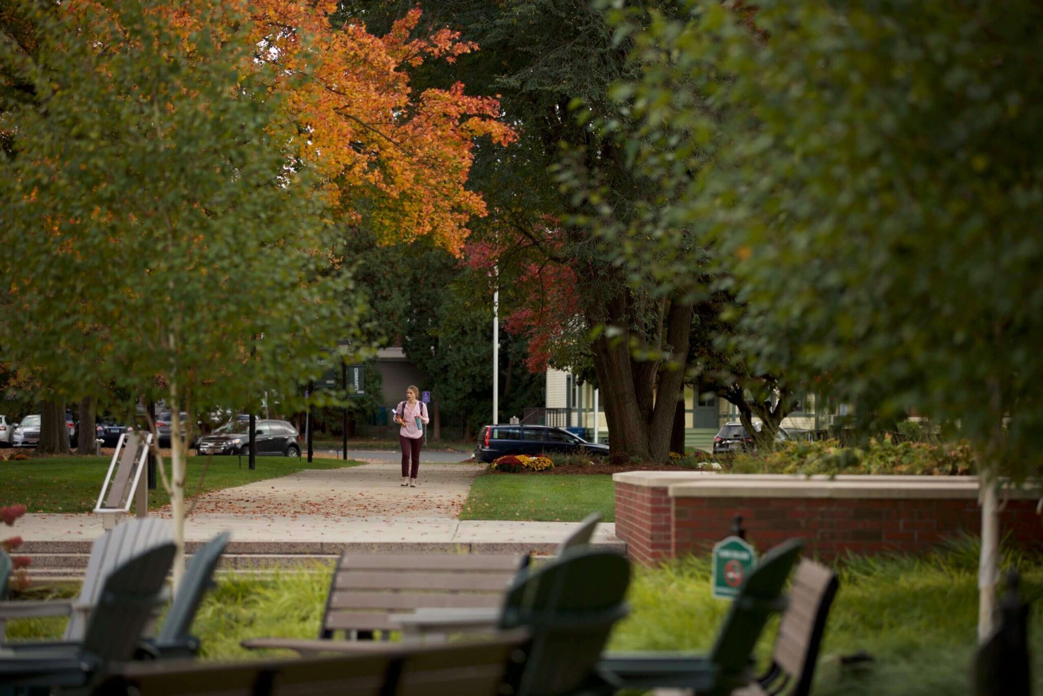 About Elms Elms College