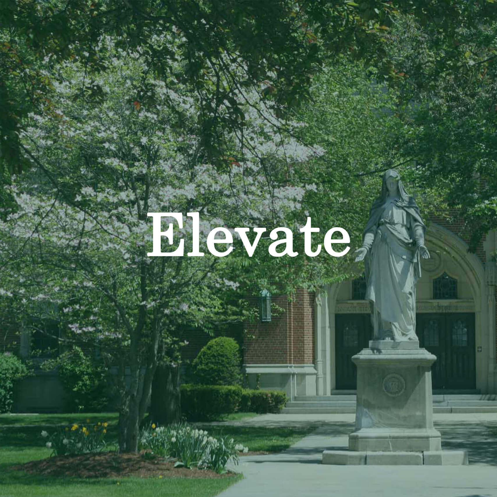 Photo of the statue of Mary with a text overlay that reads "Elevate."