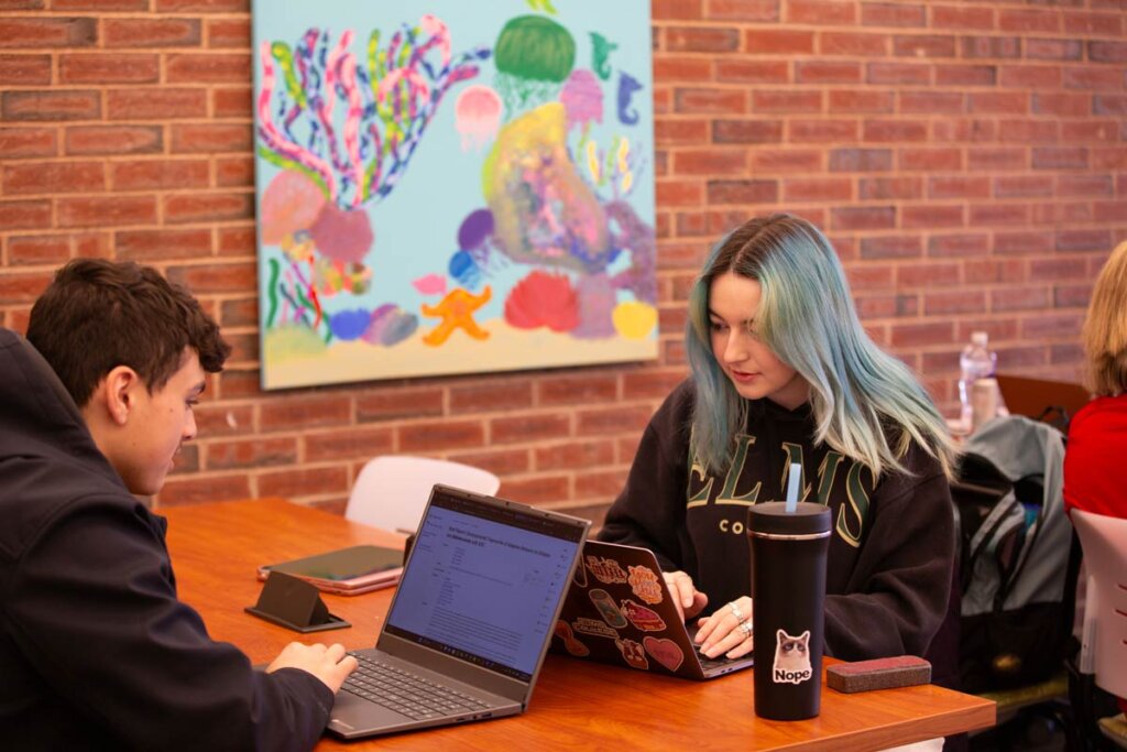 Photo of a male and female working on laptops