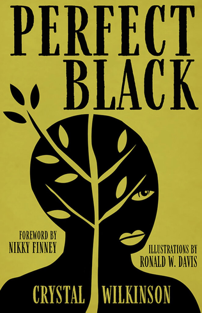 Perfect Black, a collection of poems