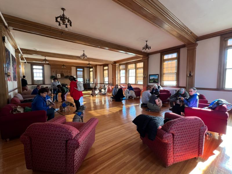 Photo of a room full of people and dogs