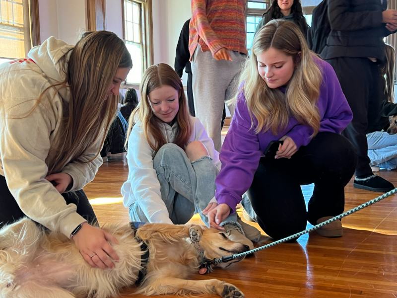 Photo of three students petting a dog