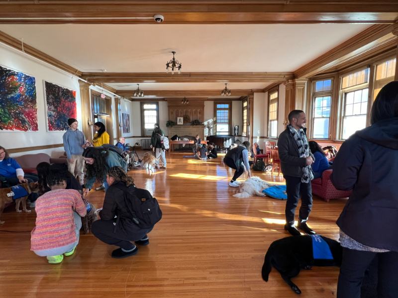 Photo of many people in a room with dogs